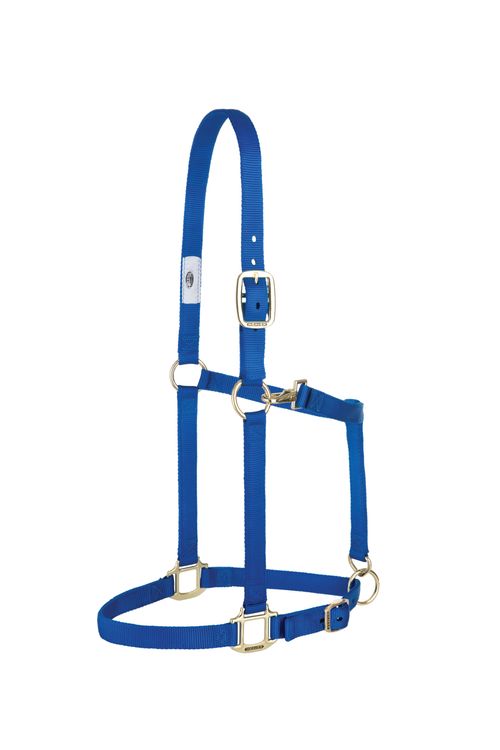 Weaver Nylon 1" Adjustable Draft Halter - Blue