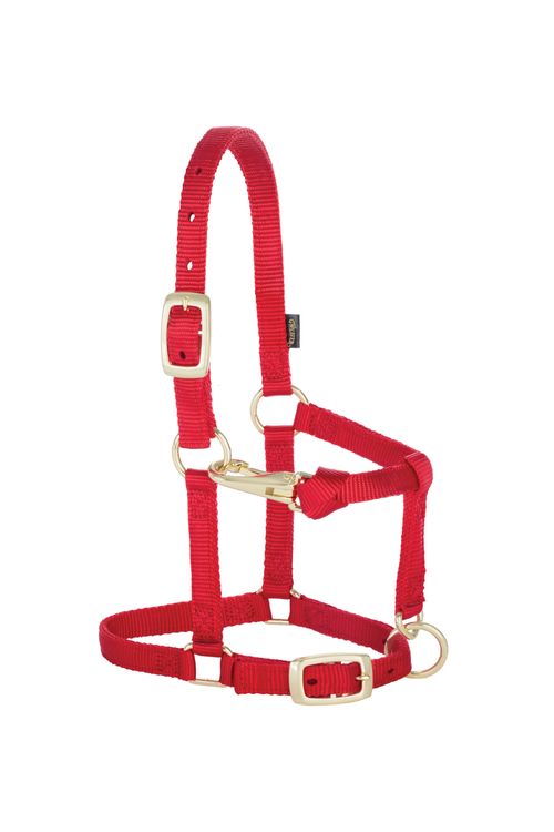 Weaver Miniature 5/8" Original Adjustable Halter - Red