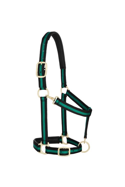 Weaver Striped Padded Adjustable Halter - Black/Green