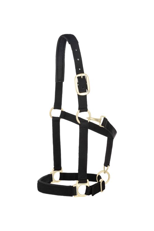 Weaver Padded Adjustable Halter - Black