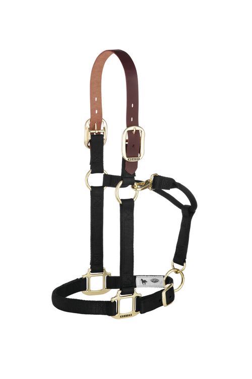 Weaver Breakaway Original Adjustable Halter - Black