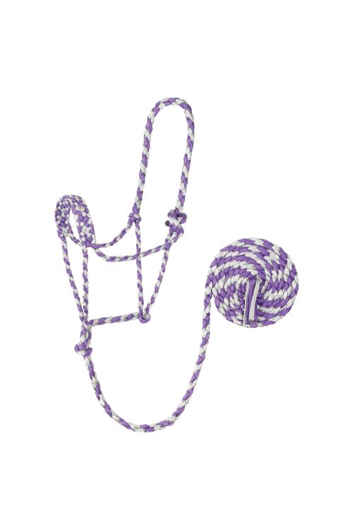 Weaver Braided Rope Halter w/10' Lead - Grey/Purple