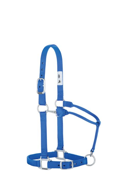 Weaver Original 1" Adjustable Halter w/Chrome Hardware - Blue