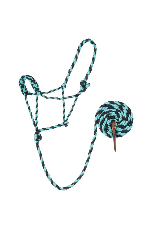 Weaver Braided Rope Halter w/10' Lead - Mint/Black