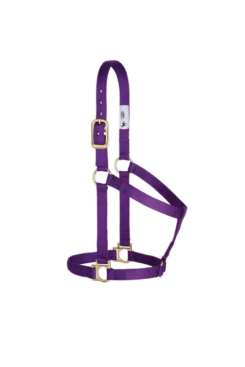 Weaver Basic Non-Adjustable Halter - Purple