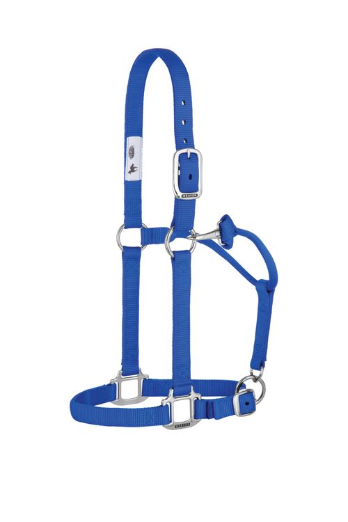 Weaver Original Non-Adjustable Halter - Blue