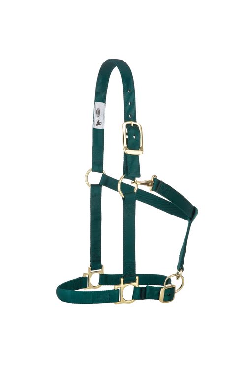 Weaver Basic Adjustable Halter - Hunter Green