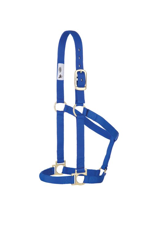 Weaver Basic Non-Adjustable Halter - Blue