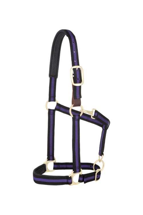 Weaver Padded Breakaway Adjustable Halter - Black/Purple