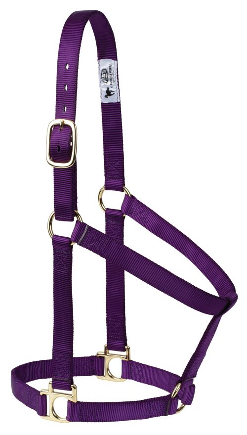 Weaver Poly Non-Adjustable Halter - Purple