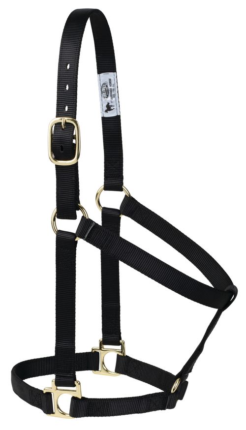 Weaver Poly Non-Adjustable Halter - Black