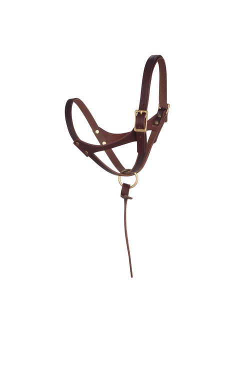 Weaver Figure 8 Foal Halter - Canyon Rose Harness Leather