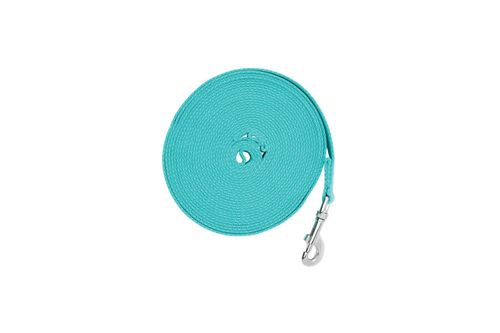 Weaver Color Cotton Lunge Line w/Snap - Turquoise