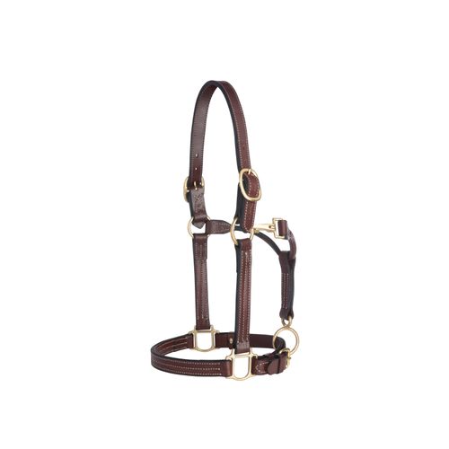 Weaver 1" Track Halter - Mahogany