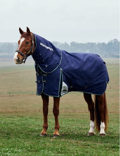 SALE RACK: Weatherbeeta Comfitec Plus Dynamic Turnout Detach-A-Neck 0g - 69 - Navy/Forest Green