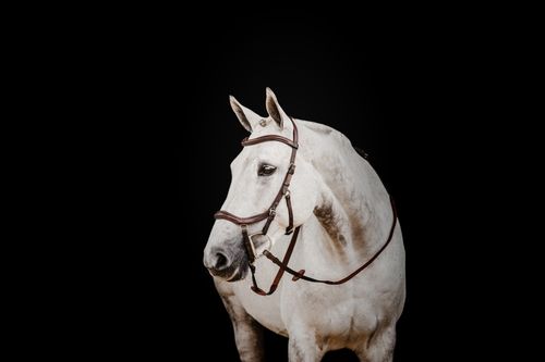 SALE RACK: Rambo Micklem 2 Deluxe Competition Bridle w/Reins - Large Cob - Dark Havana