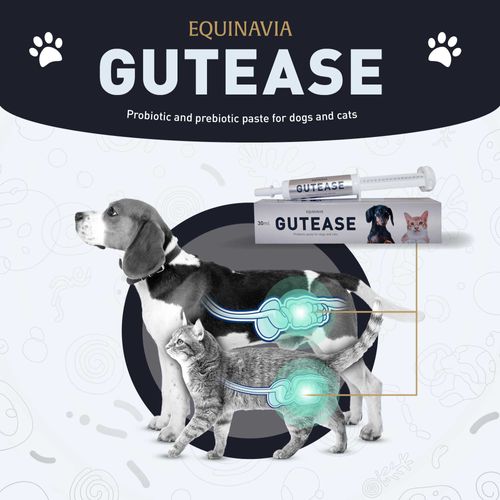 Equinavia GutEase for Dogs/Cats