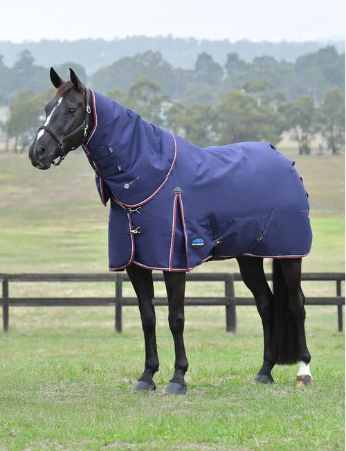 SALE RACK: Weatherbeeta Comfitec Essential Turnout Detach-A-Neck 220g - 84 - Navy/Burgundy