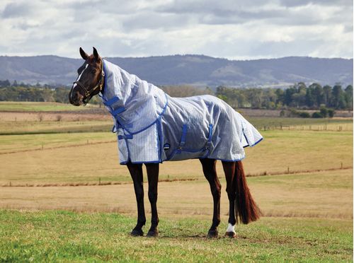 SALE RACK: Weatherbeeta Comfitec Ripshield Fly Sheet Detach-A-Neck - 81 - White/Cobalt
