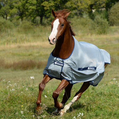 BARN BUSTER: Bucas Classic Buzz Off Fly Sheet - 72 - Silver/Navy