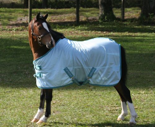 OVERSTOCK: TuffRider Comfy Mesh Mini Fly Sheet - 36 - Porcelain Blue/Teal