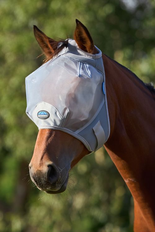 READY TO SHIP: Weatherbeeta Comfitec Fine Mesh Fly Mask - Medium - Grey