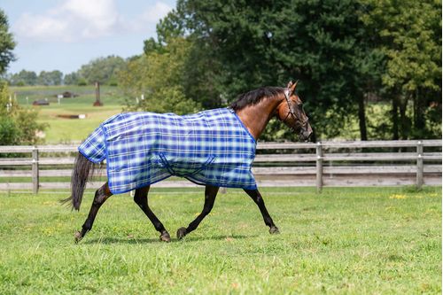 OVERSTOCK: TuffRider Texilene FlyShield Sheet - 84 - Sky Blue