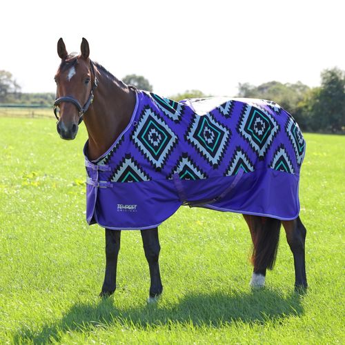 READY TO SHIP: Shires Tempest Original Lite Turnout - 48 - Purple Aztec