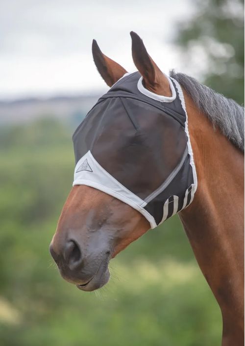 READY TO SHIP: Shires FlyGuard Fine Mesh Fly Mask w/Ear Hole - Pony - Black