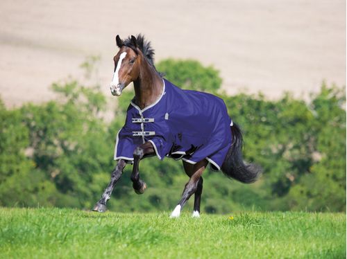 READY TO SHIP: Shires Highlander Plus Lite Standard Neck Turnout - 78 - Navy