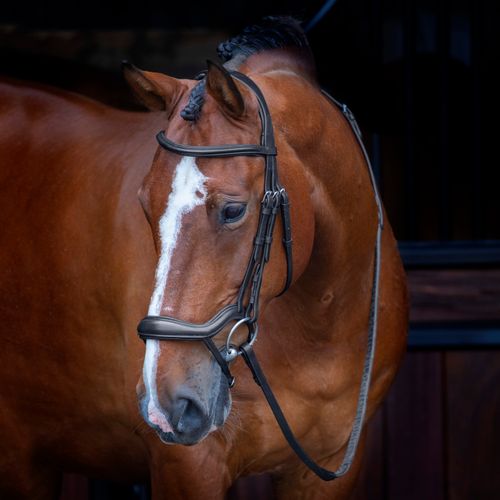 READY TO SHIP: Shires Velociti Rapida Ergonomic Flash Bridle - Large Horse - Black