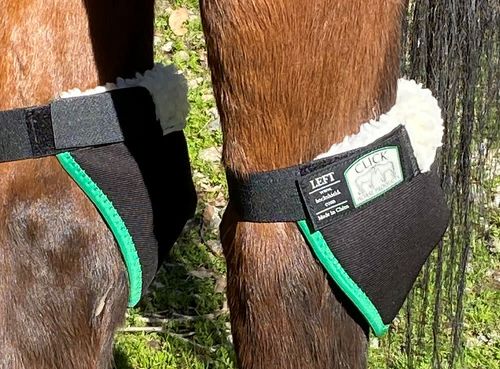 CLICK Horse Hock Shields - Black/Green