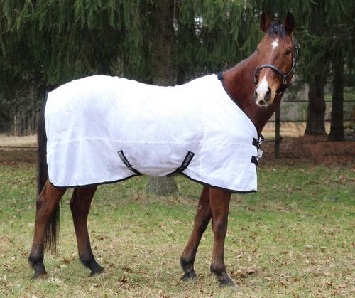 BARN BUSTER: TuffRider Comfy Mesh Fly Sheet - 66 - White