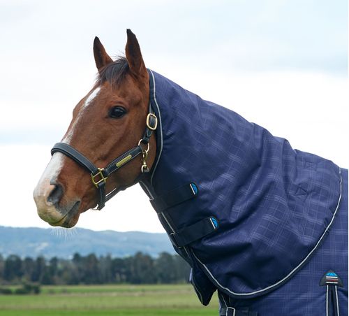 Weatherbeeta Comfitec Prelim Turnout Neck Cover 220G - Navy Embossed Plaid