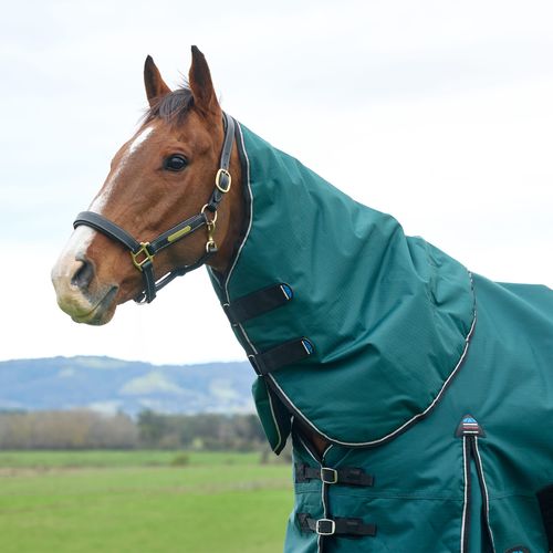Weatherbeeta Comfitec Classic Turnout Neck Cover 220G - Forest Green/Black