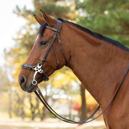 Equinavia Saga Hackamore Bridle with Rubber Reins - Chocolate Brown
