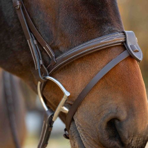 Equinavia Saga Fancy Stitch Detachable Flash Noseband - Chocolate Brown