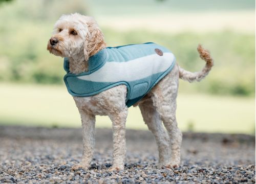 SALE RACK: Horseware Newmarket Dog Fleece - X Small - Witney Dynasty