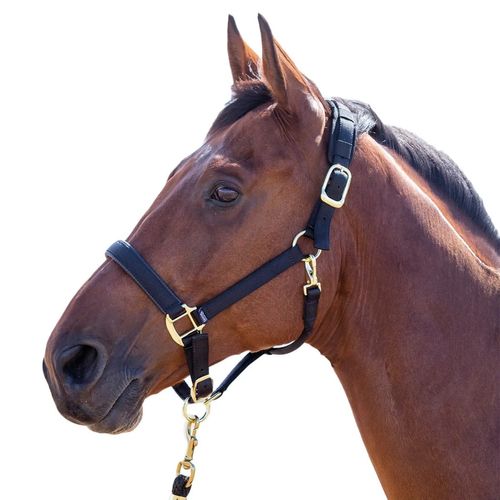 OVERSTOCK: Shires Topaz Leather Breakaway Nylon Halter - Horse - Black