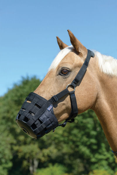 BARN BUSTER: Shires Freegraze Comfort Grazing Muzzle - Small Pony - Black