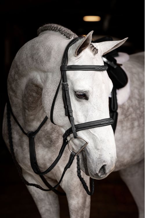 LeMieux Stitched Hunter Bridle w/Laced Reins - Black/Silver