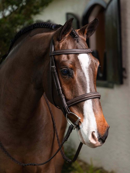 LeMieux Stitched Hunter Bridle w/Laced Reins - Havana/Silver