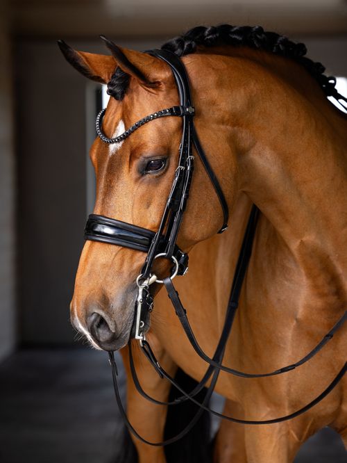 LeMieux Kudos Double Bridle - Black/Black