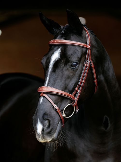 LeMieux Kudos Competition Flash Bridle - Chestnut