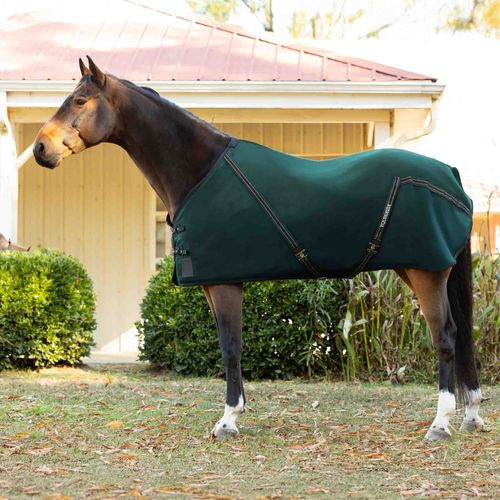 Equinavia Fryd Cotton Stable Sheet - Hunter Green