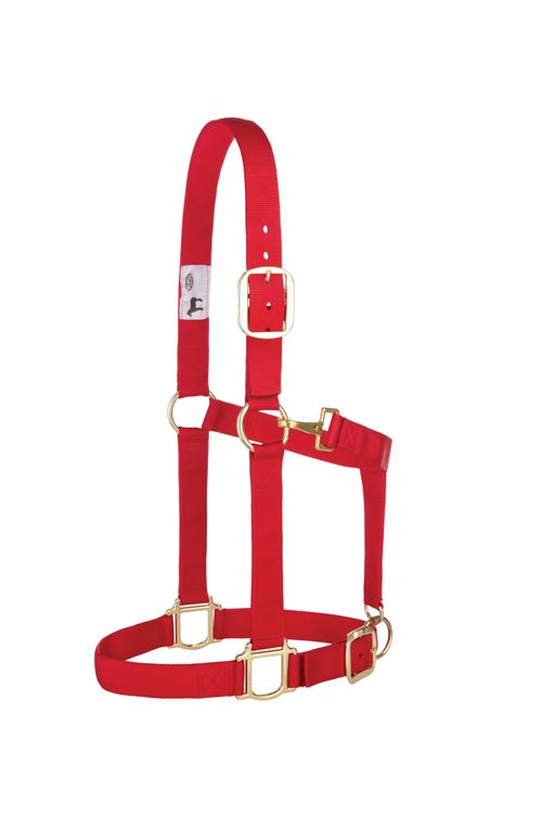 BARN BUSTER: Weaver Nylon 1.5"  Adjustable Draft Halter - Average Draft - Red