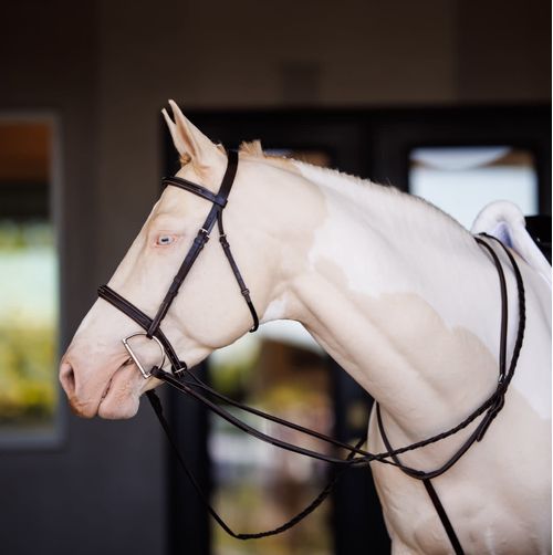 Shires Velociti Fancy Square Raised Laced Reins - Oak Bark