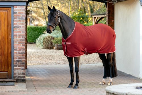 LeMieux Arika JerseyTek Fleece - Russet