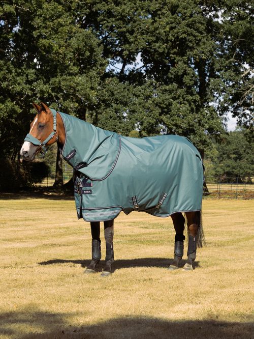 LeMieux Arika 600D Ripstop 0g Turnout Blanket - Aloe