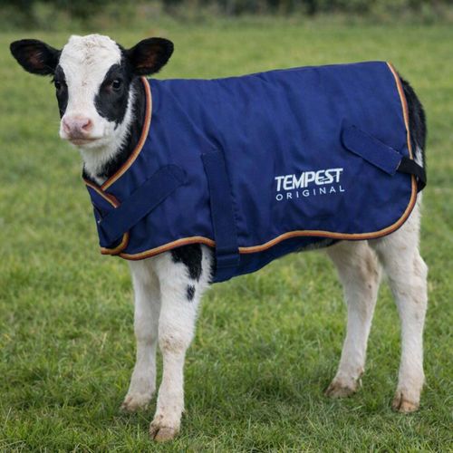 Shires Tempest Original Calf Coat - Navy